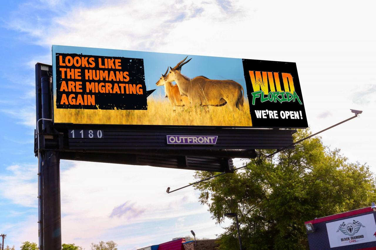 Wild Florida: The Humans are Migrating